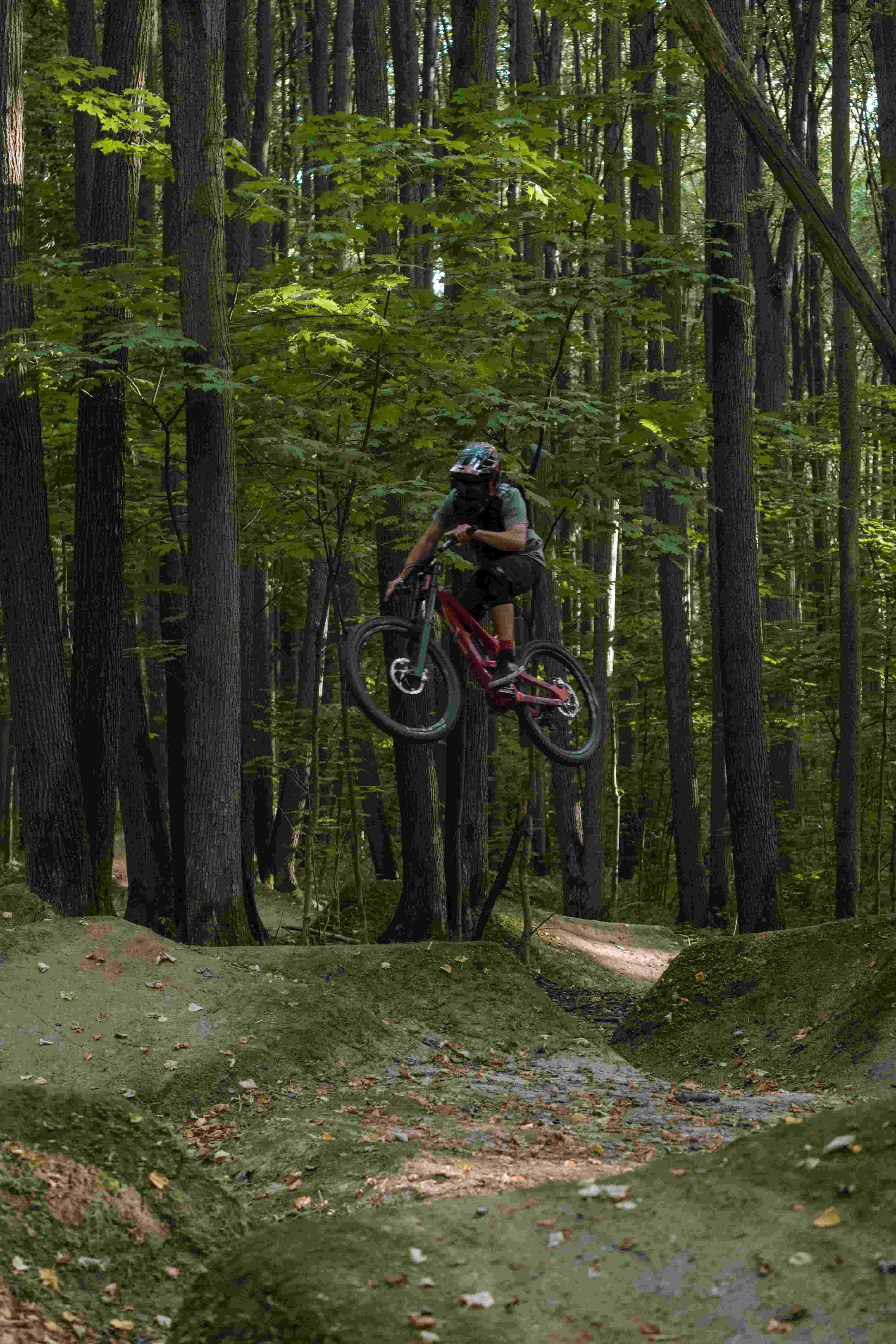 Biker jumping over gap in forrest