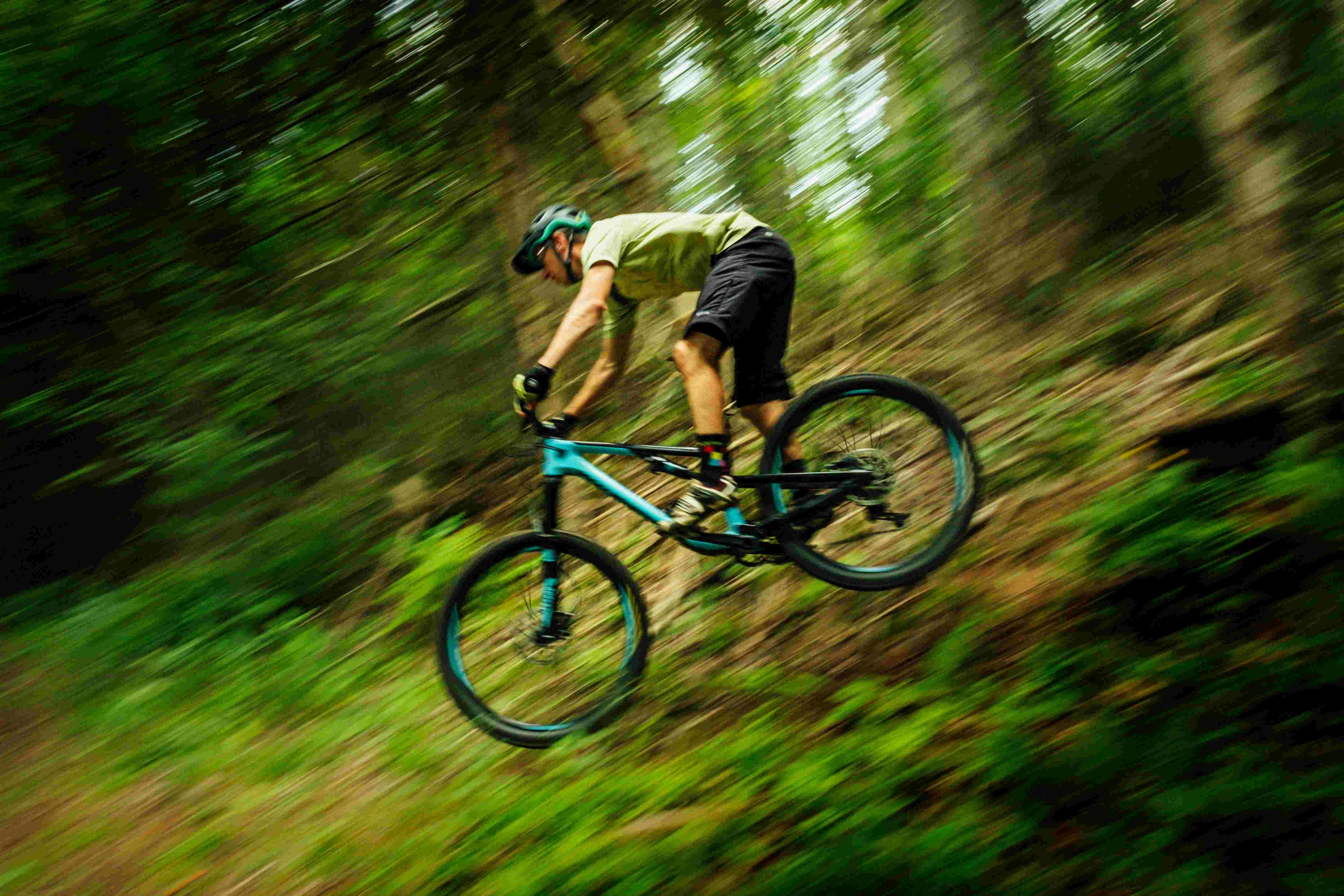 Blurred image of Biker going downhill in forrest