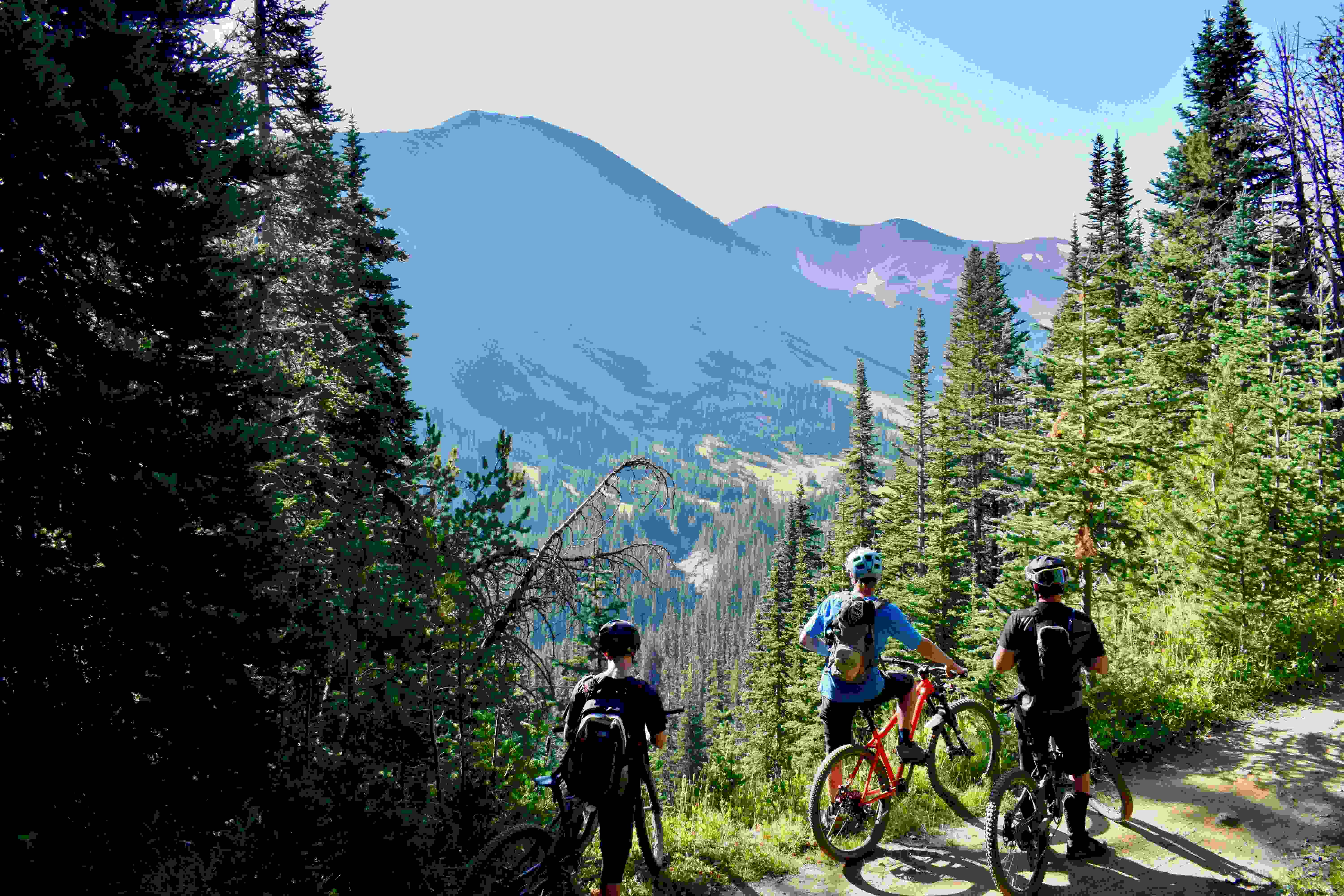 Three bikers looking at the view of a valley