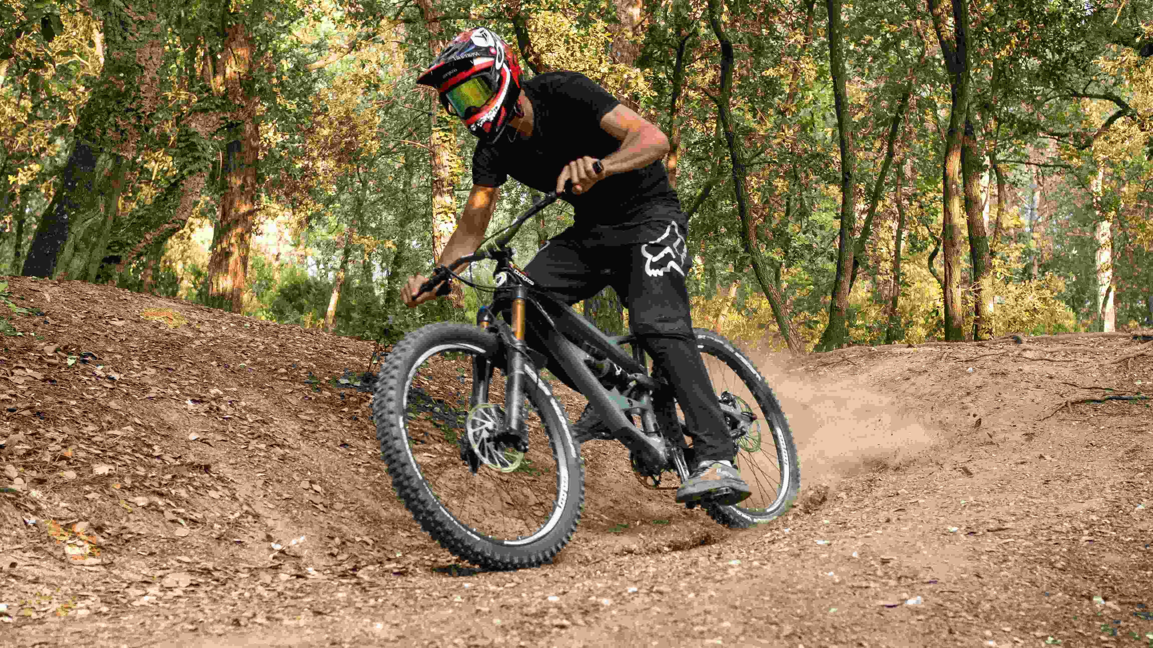 Biker riding through trail in forrest