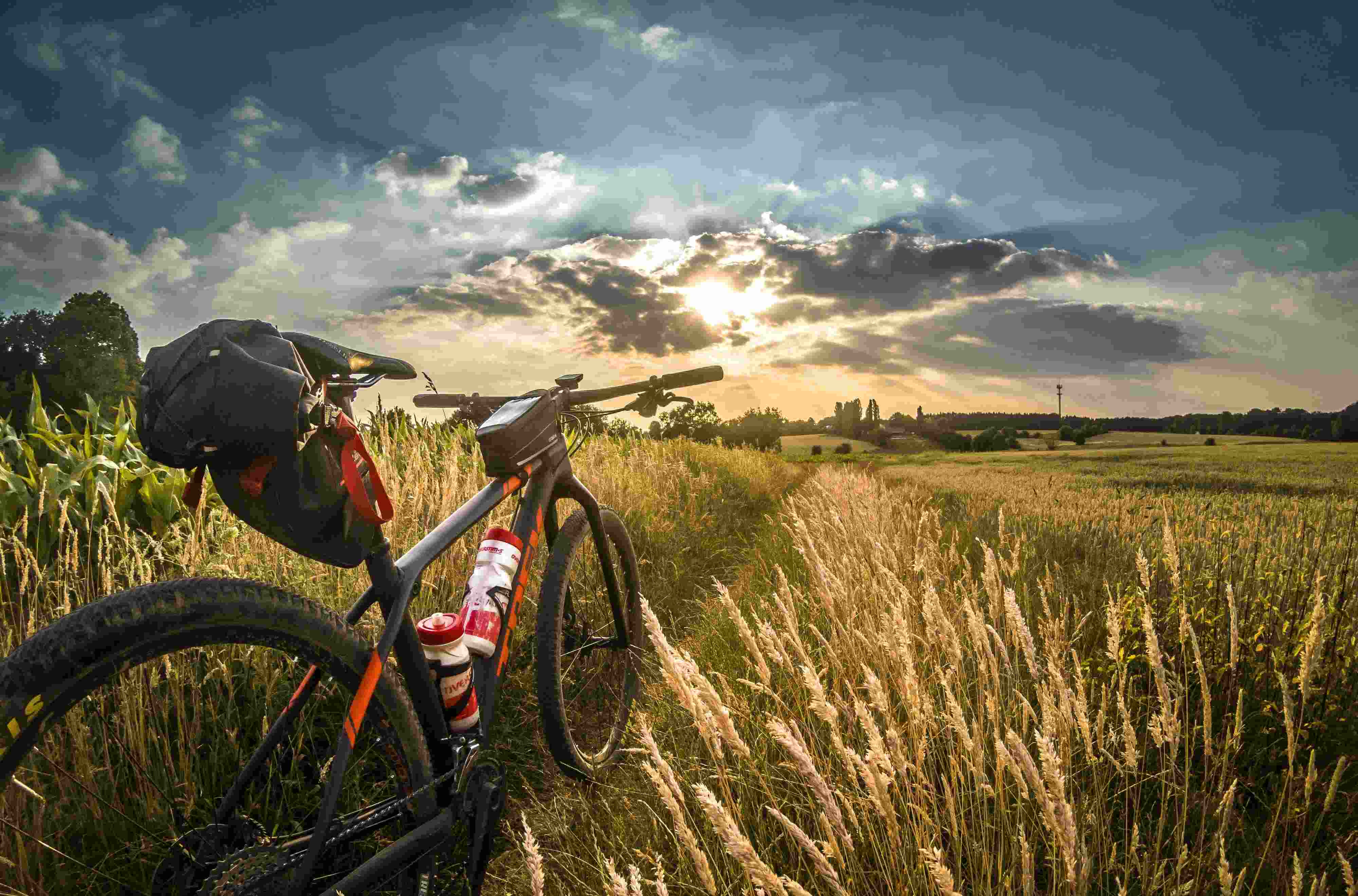 Mountain bike in a field during sunset